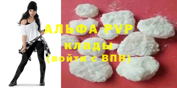 PSILOCYBIN Балабаново