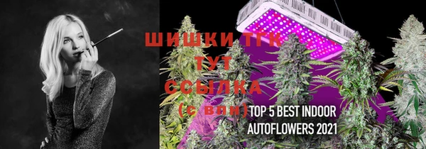 круглые Аркадак