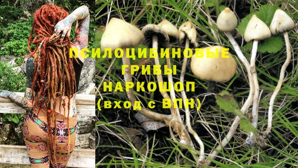 мескалин Балахна
