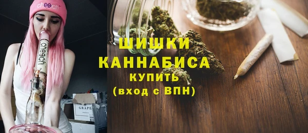 прущие грибы Семикаракорск