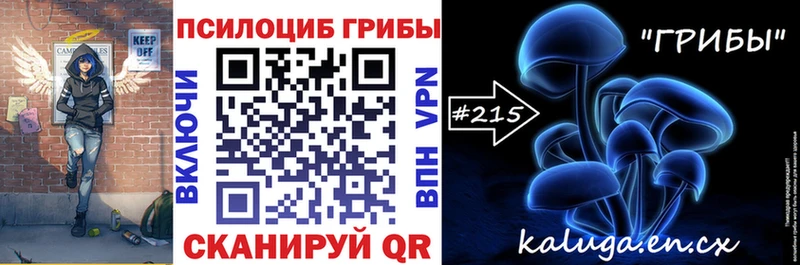 наркота  Шагонар  МЕГА зеркало  Галлюциногенные грибы Psilocybine cubensis 