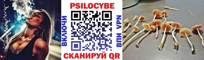 Псилоцибиновые грибы MAGIC MUSHROOMS Шагонар